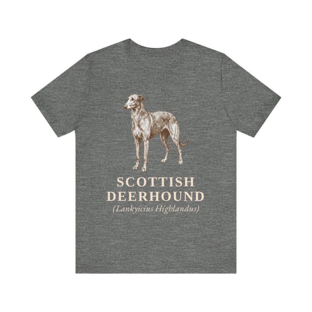 Scottish Deerhound Latin Shirt, Vintage Dog Sketch Tee, Dog Latin Gift