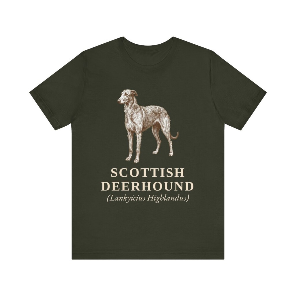 Scottish Deerhound Latin Shirt, Vintage Dog Sketch Tee, Dog Latin Gift