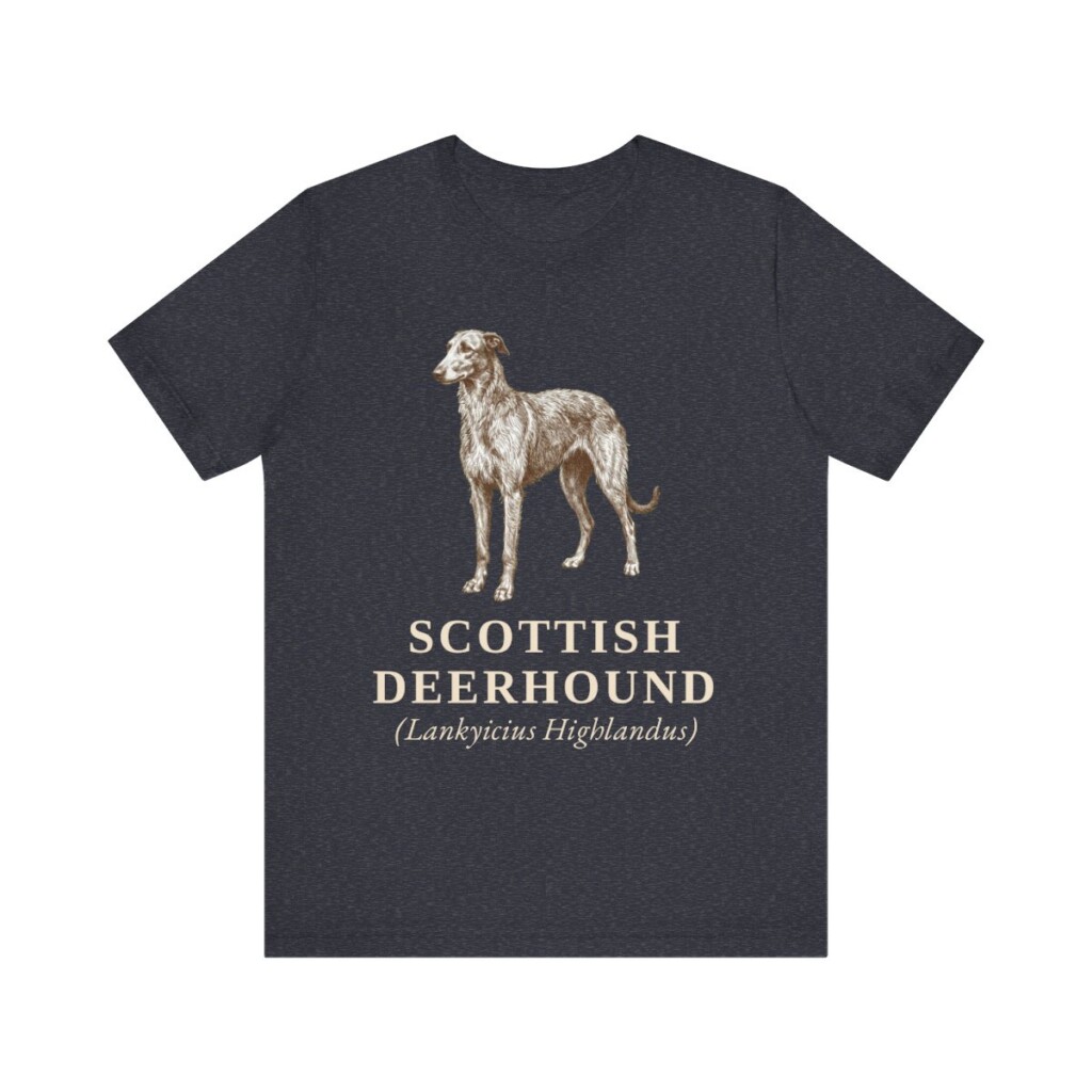 Scottish Deerhound Latin Shirt, Vintage Dog Sketch Tee, Dog Latin Gift