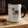 11356905677460291896_2048.jpeg 15oz American Foxhound Mug, Illustrated Dog Breed Facts Coffee Mug, Vintage Dog Keepsake Gift