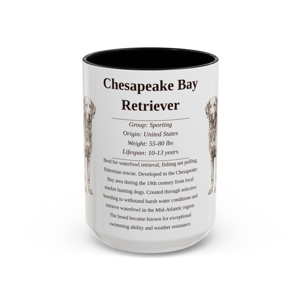 15oz Chesapeake Bay Retriever Mug, Illustrated Dog Breed Facts Coffee Mug, Vintage Dog Keepsake Gift