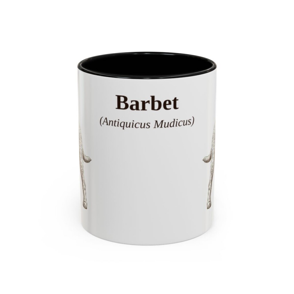 11oz Barbet Latin Mug, Black, front view