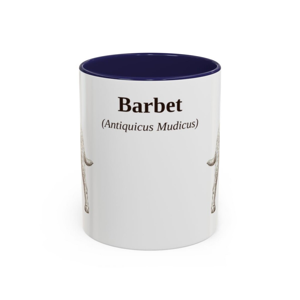 11oz Barbet Latin Mug, Navy, front view