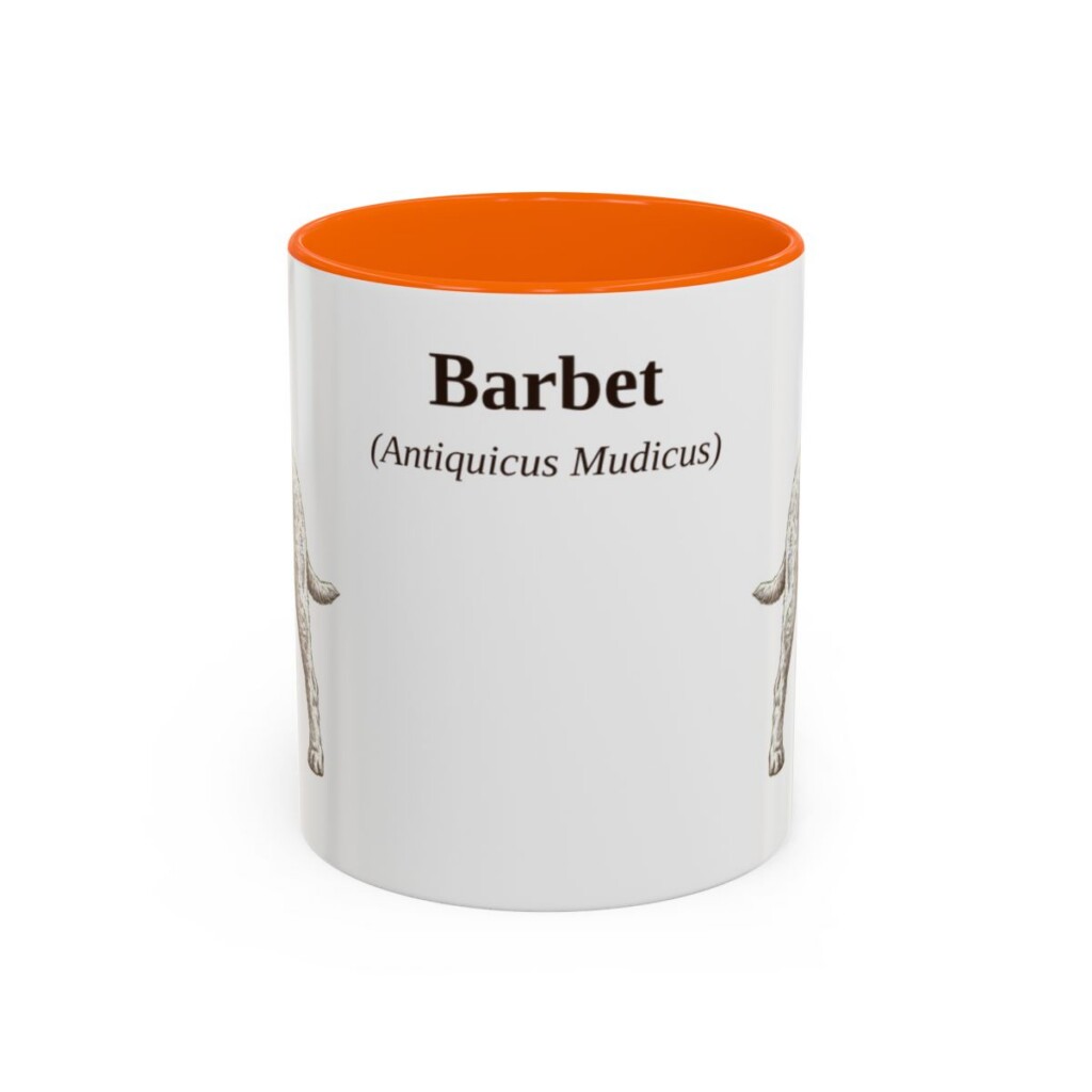 11oz Barbet Latin Mug, Orange, front view