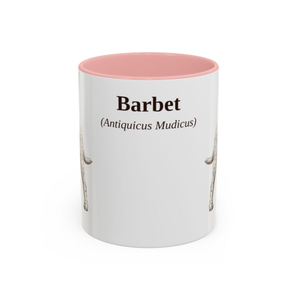 11oz Barbet Latin Mug, Pink, front view