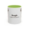 11oz Beagle Latin Mug, Light Green, front view