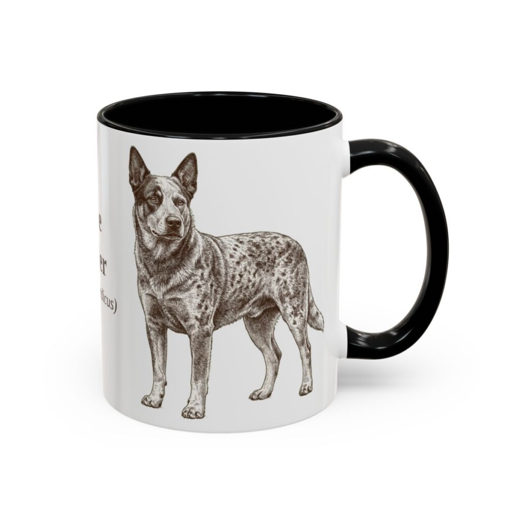 11oz Blue Heeler Latin Mug, Black, right side view