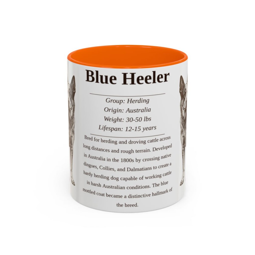11oz Blue Heeler Mug, Orange, front view