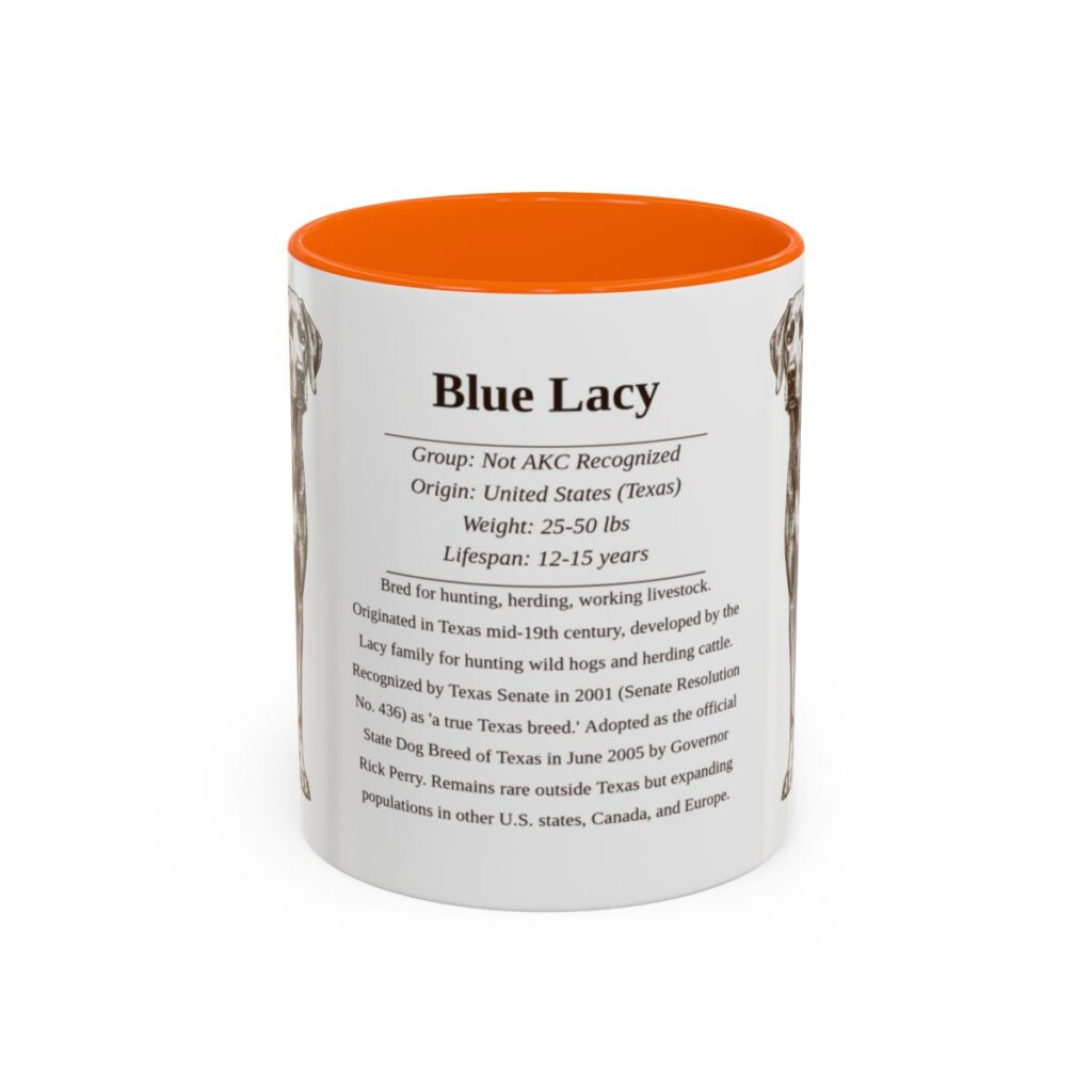 11oz Blue Lacy Mug, Orange, front view