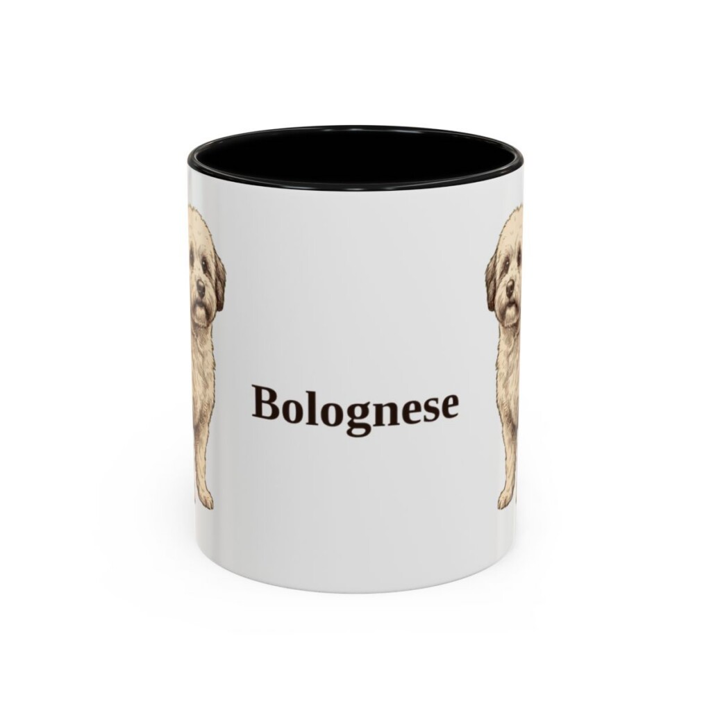 11oz Bolognese Mug, Black, front view