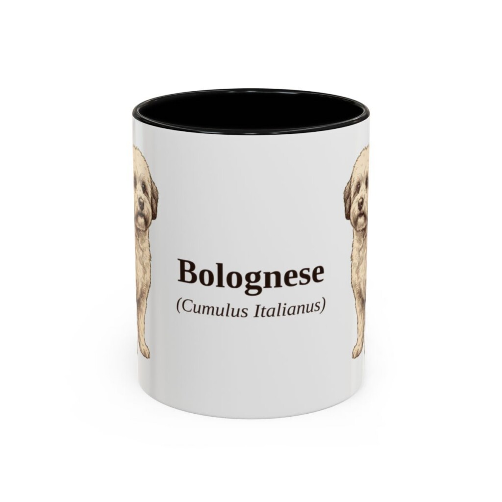 11oz Bolognese Latin Mug, Black, front view