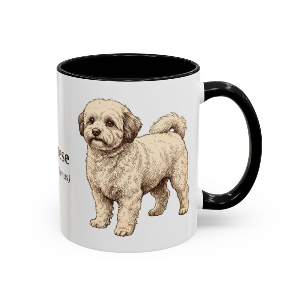 11oz Bolognese Latin Mug, Black, right side view