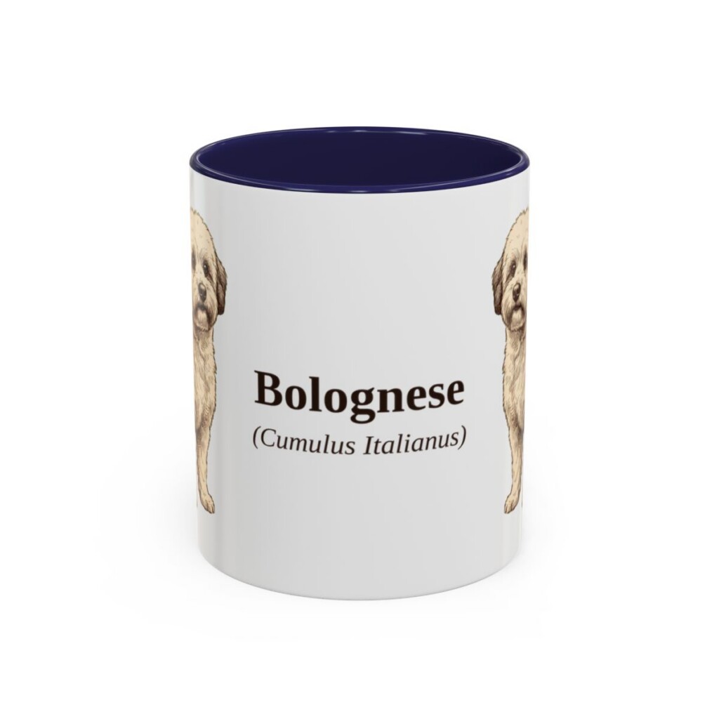 11oz Bolognese Latin Mug, Navy, front view