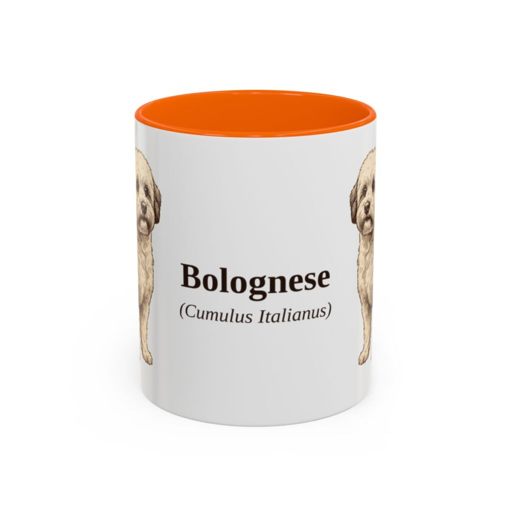11oz Bolognese Latin Mug, Orange, front view