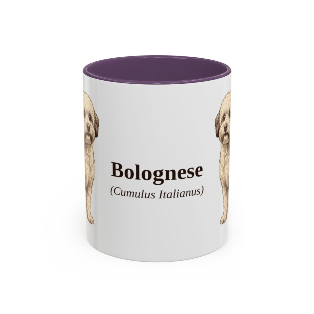11oz Bolognese Latin Mug, Purple, front view