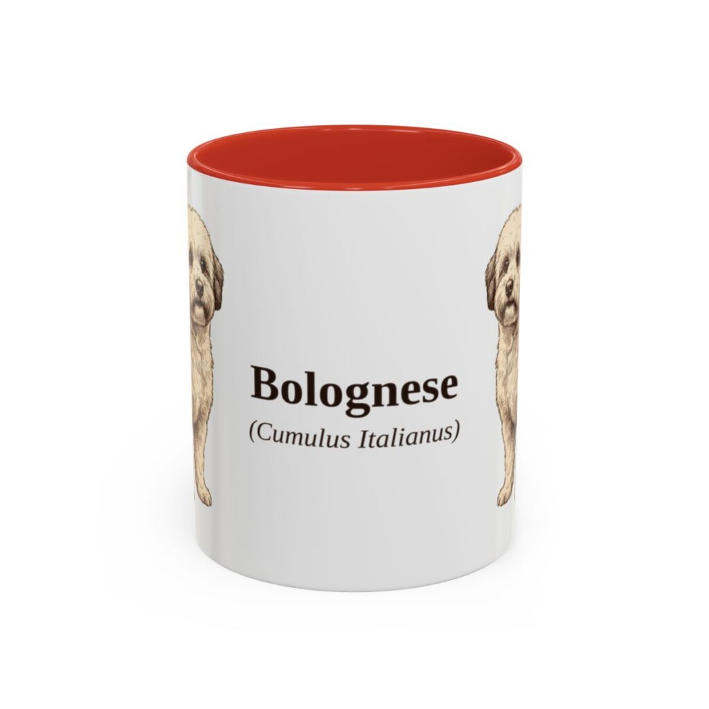 11oz Bolognese Latin Mug, Red, front view