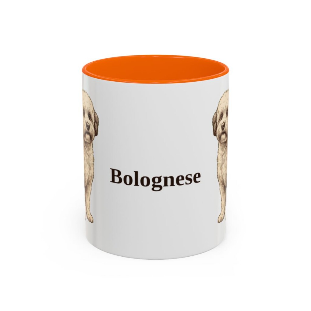 11oz Bolognese Mug, Orange, front view
