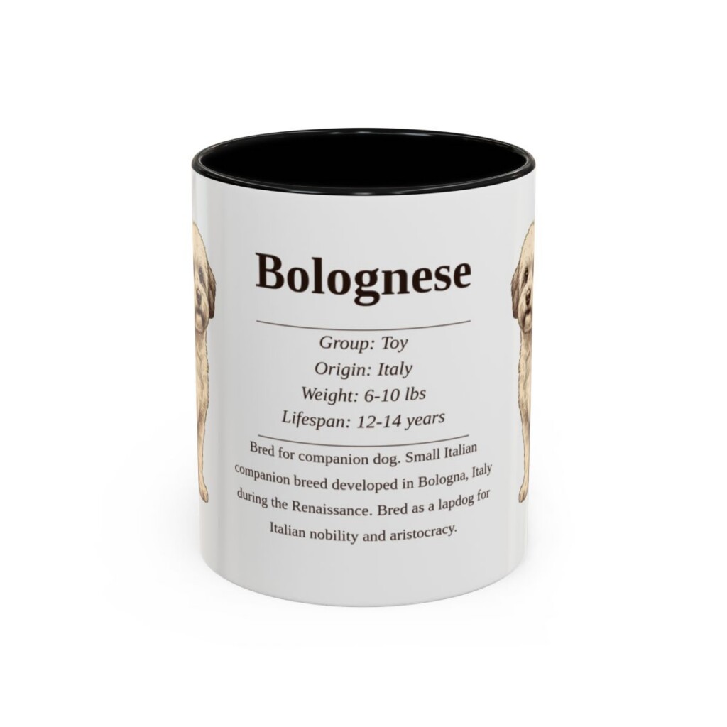 11oz Bolognese Mug, Black, front view