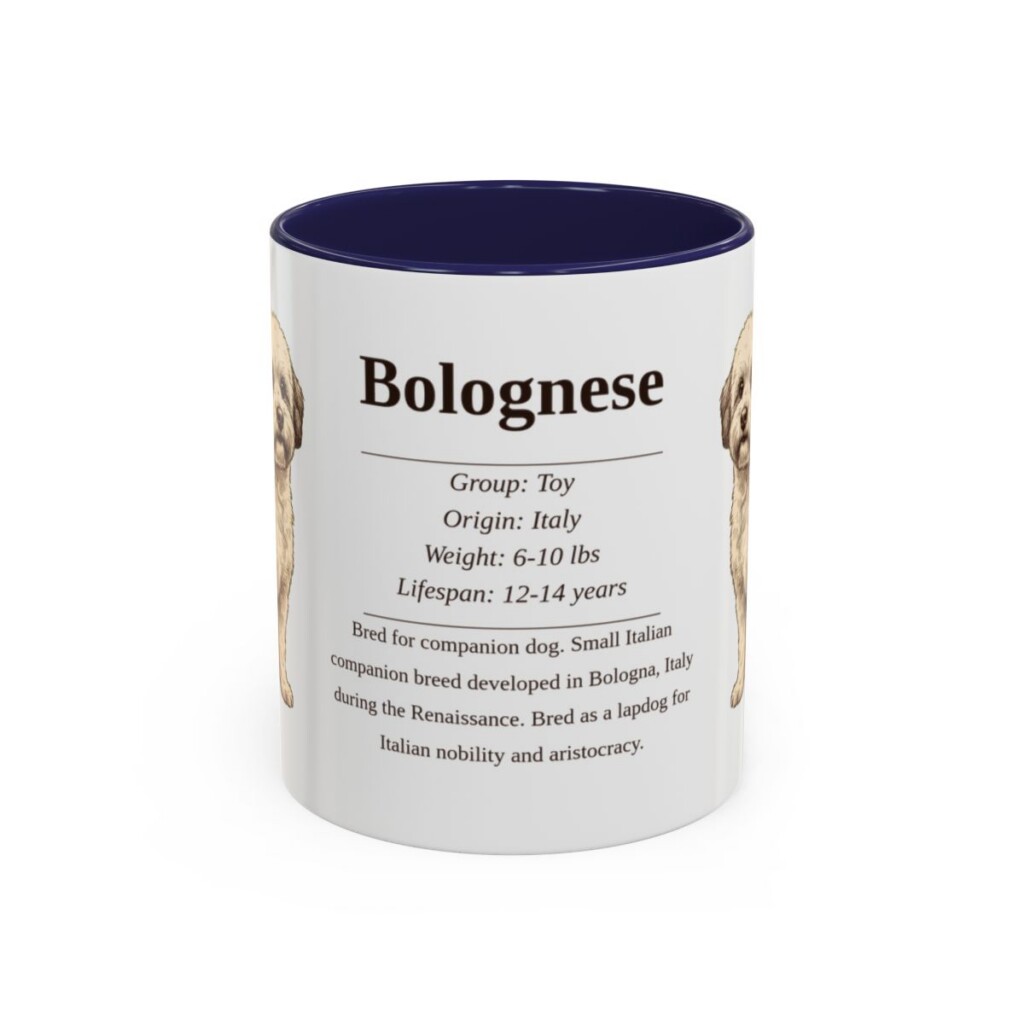11oz Bolognese Mug, Navy, front view