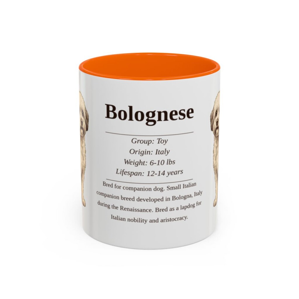 11oz Bolognese Mug, Orange, front view