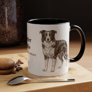 11oz Border Collie Latin Mug, Black, lifestyle photo