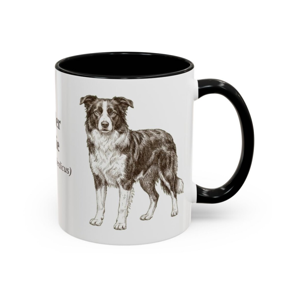 11oz Border Collie Latin Mug, Black, right side view
