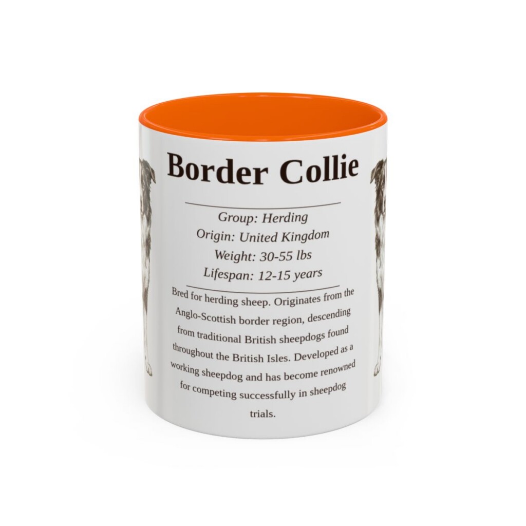 11oz Border Collie Mug, Orange, front view