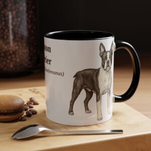 11oz Boston Terrier Latin Mug, Black, lifestyle photo