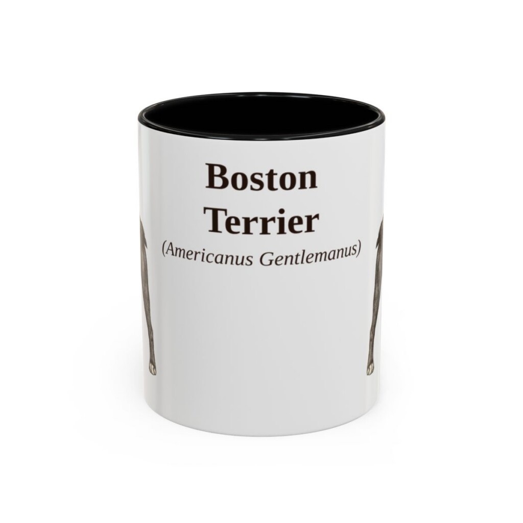 11oz Boston Terrier Latin Mug, Black, front view