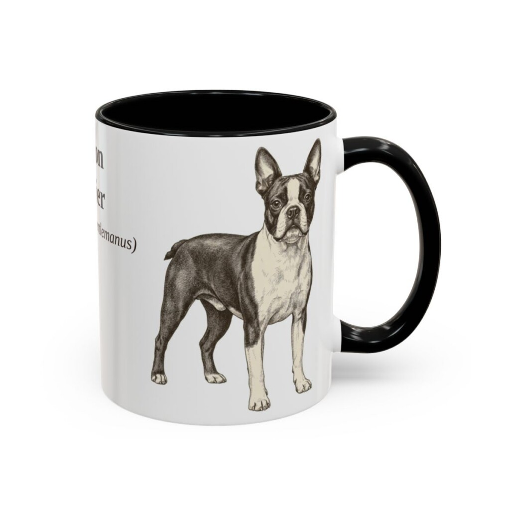 11oz Boston Terrier Latin Mug, Black, right side view