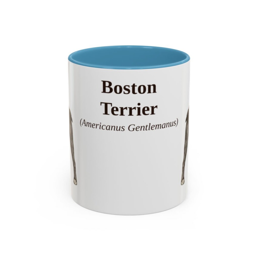 11oz Boston Terrier Latin Mug, Light Blue, front view