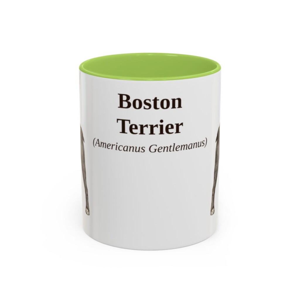 11oz Boston Terrier Latin Mug, Light Green, front view