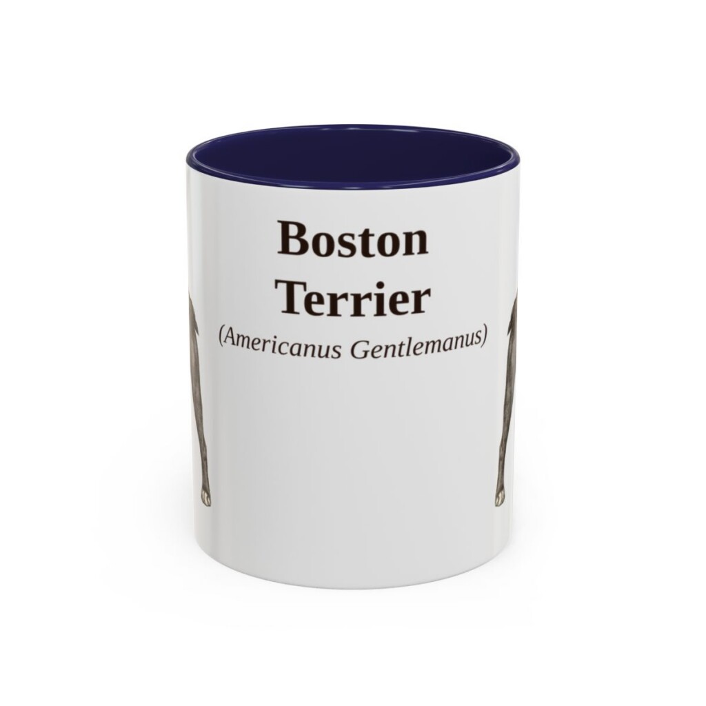 11oz Boston Terrier Latin Mug, Navy, front view