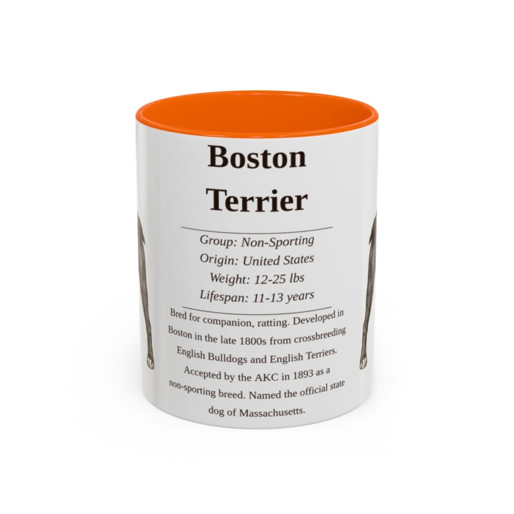 11oz boston terrier mug, Orange