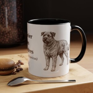 11oz Bouvier des Flandres Latin Mug, Black, lifestyle photo