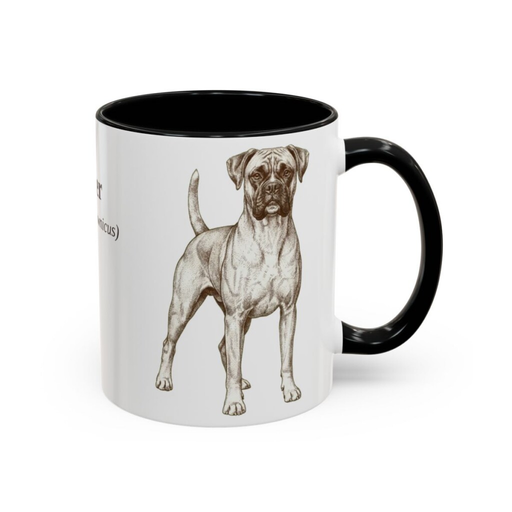 11oz Boxer Latin Mug, Black, right side view