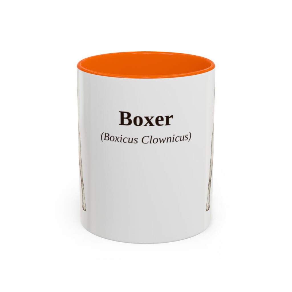 11oz Boxer Latin Mug, Orange, front view