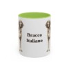 11oz Bracco Italiano Mug, Light Green, front view