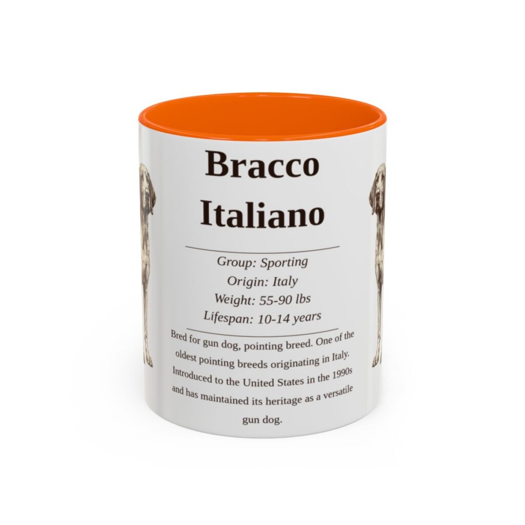 11oz bracco italiano mug, Orange