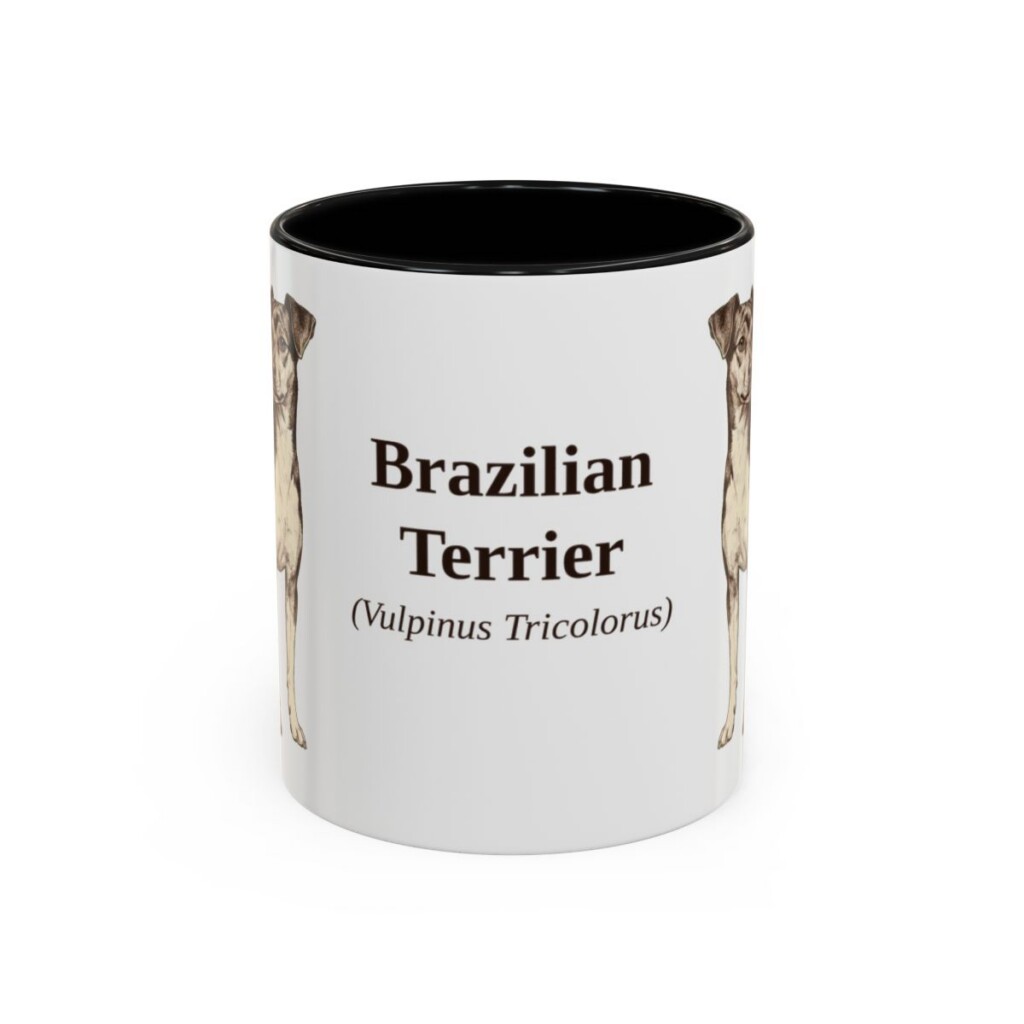 11oz Brazilian Terrier Latin Mug, Black, front view