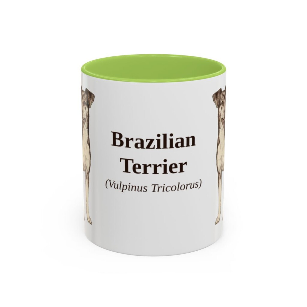 11oz Brazilian Terrier Latin Mug, Light Green, front view