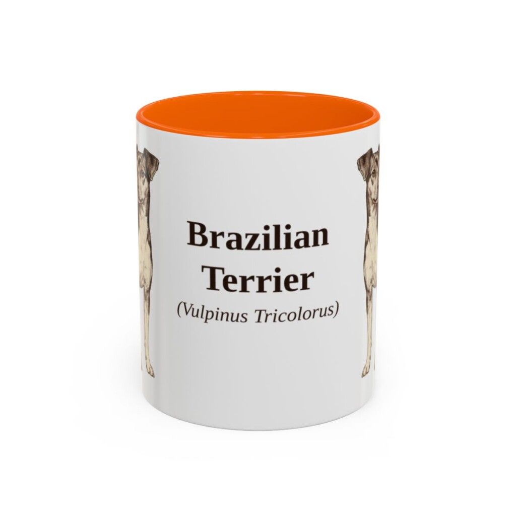 11oz Brazilian Terrier Latin Mug, Orange, front view