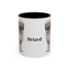 11oz Briard Mug, Black, front view