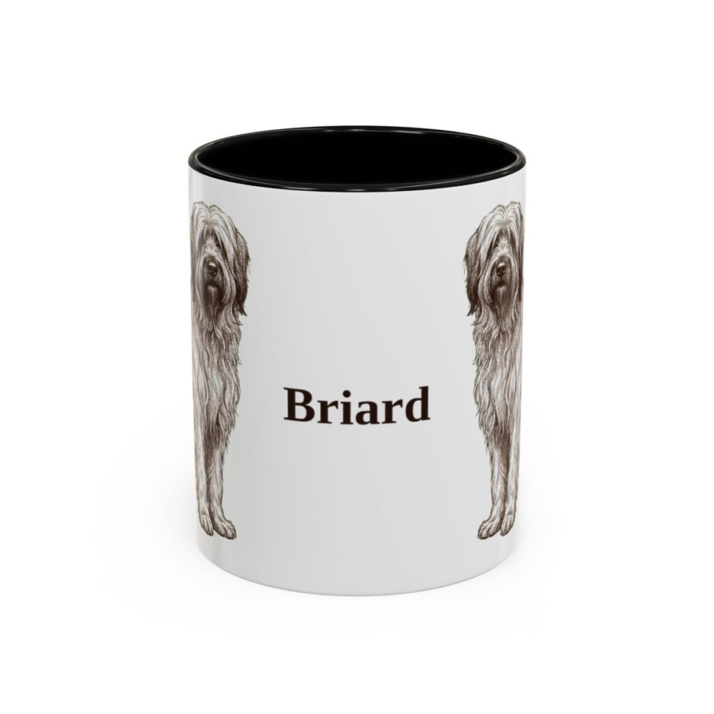 11oz Briard Mug, Black, front view