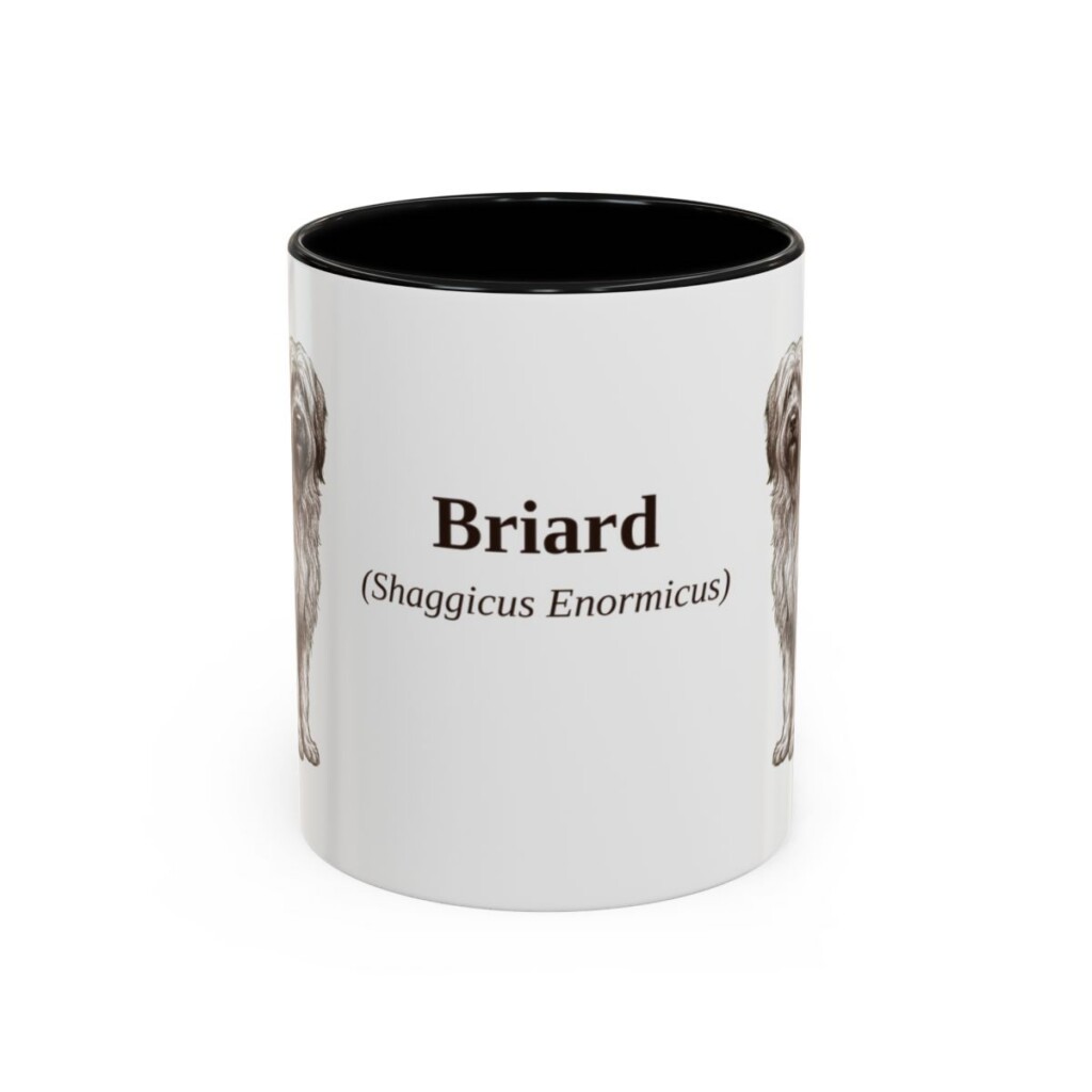 11oz Briard Latin Mug, Black, front view