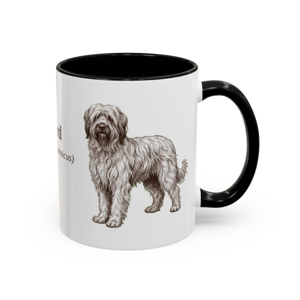 11oz Briard Latin Mug, Black, right side view