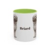 11oz Briard Mug, Light Green, front view