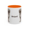 11oz Briard Mug, Orange, front view