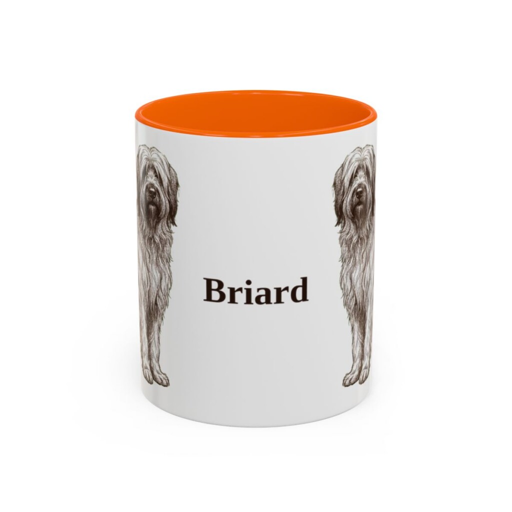 11oz Briard Mug, Orange, front view