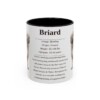 11oz Briard Mug, Black, front view
